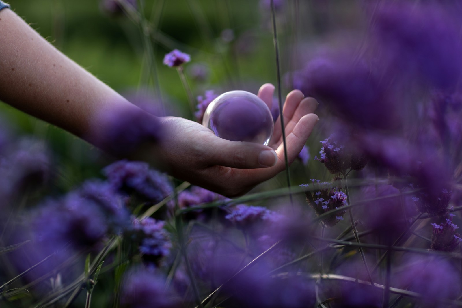 a person holding a flower